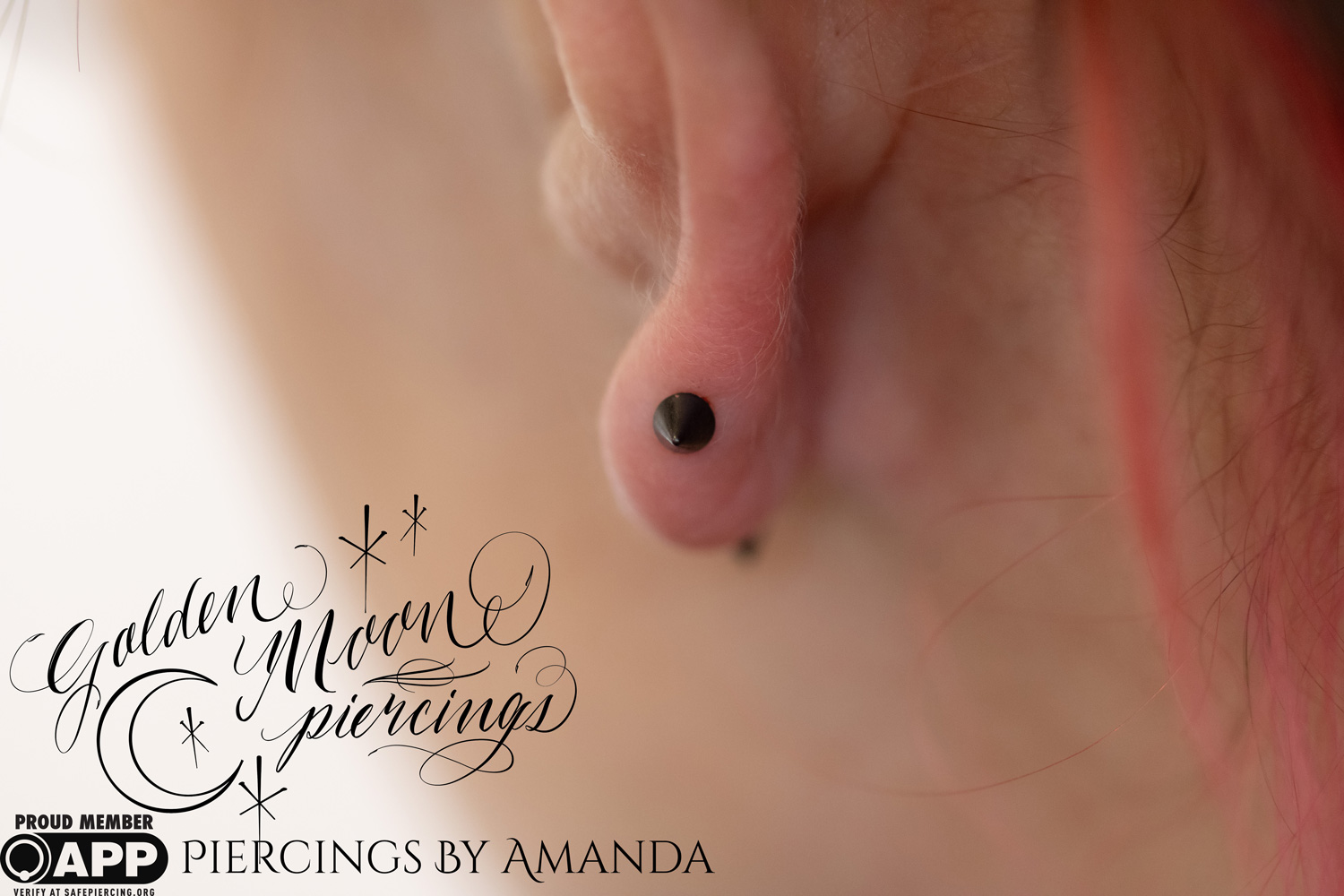 Transverse lobe piercing Amanda did with black niobium spikey bois